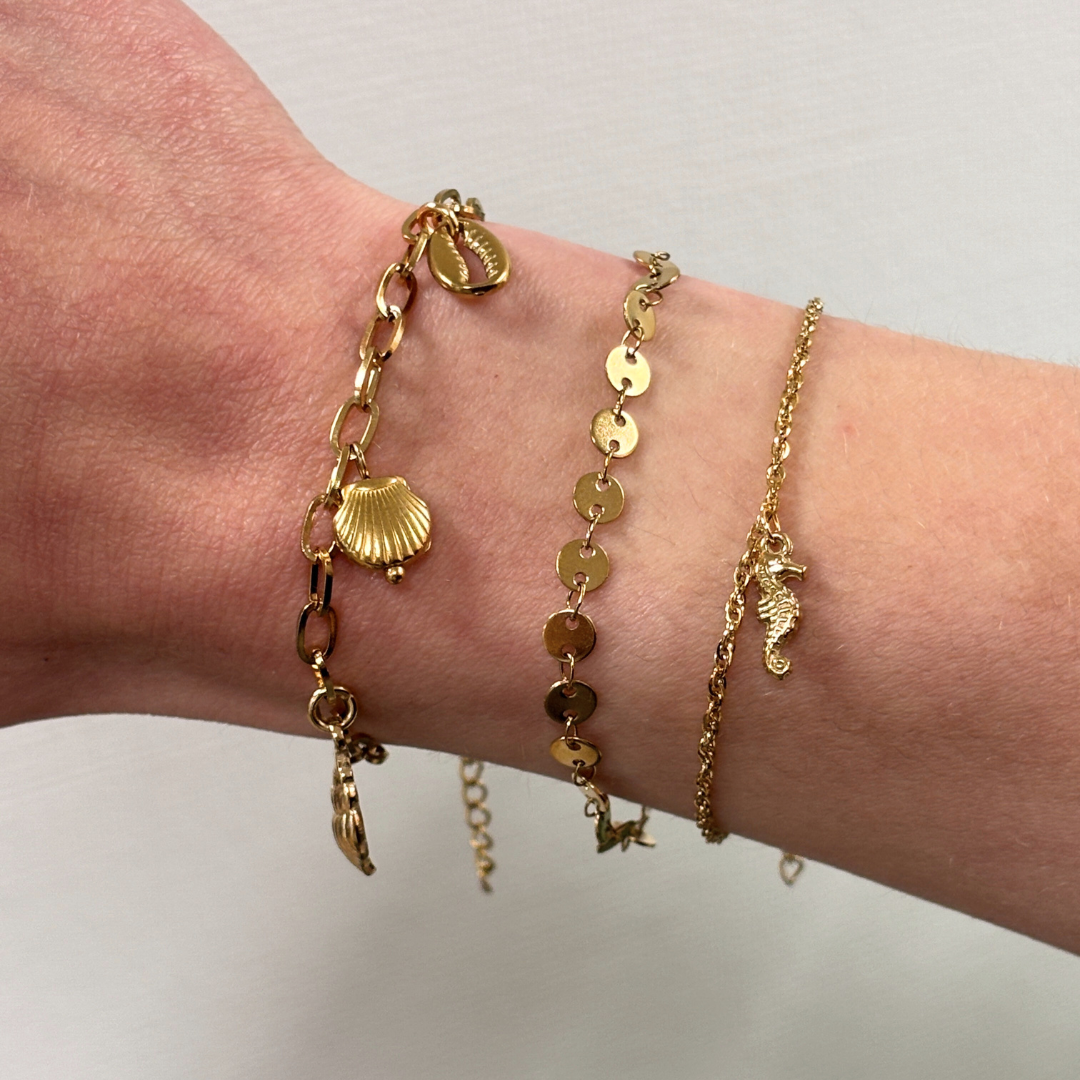 armband met zeepaardje
