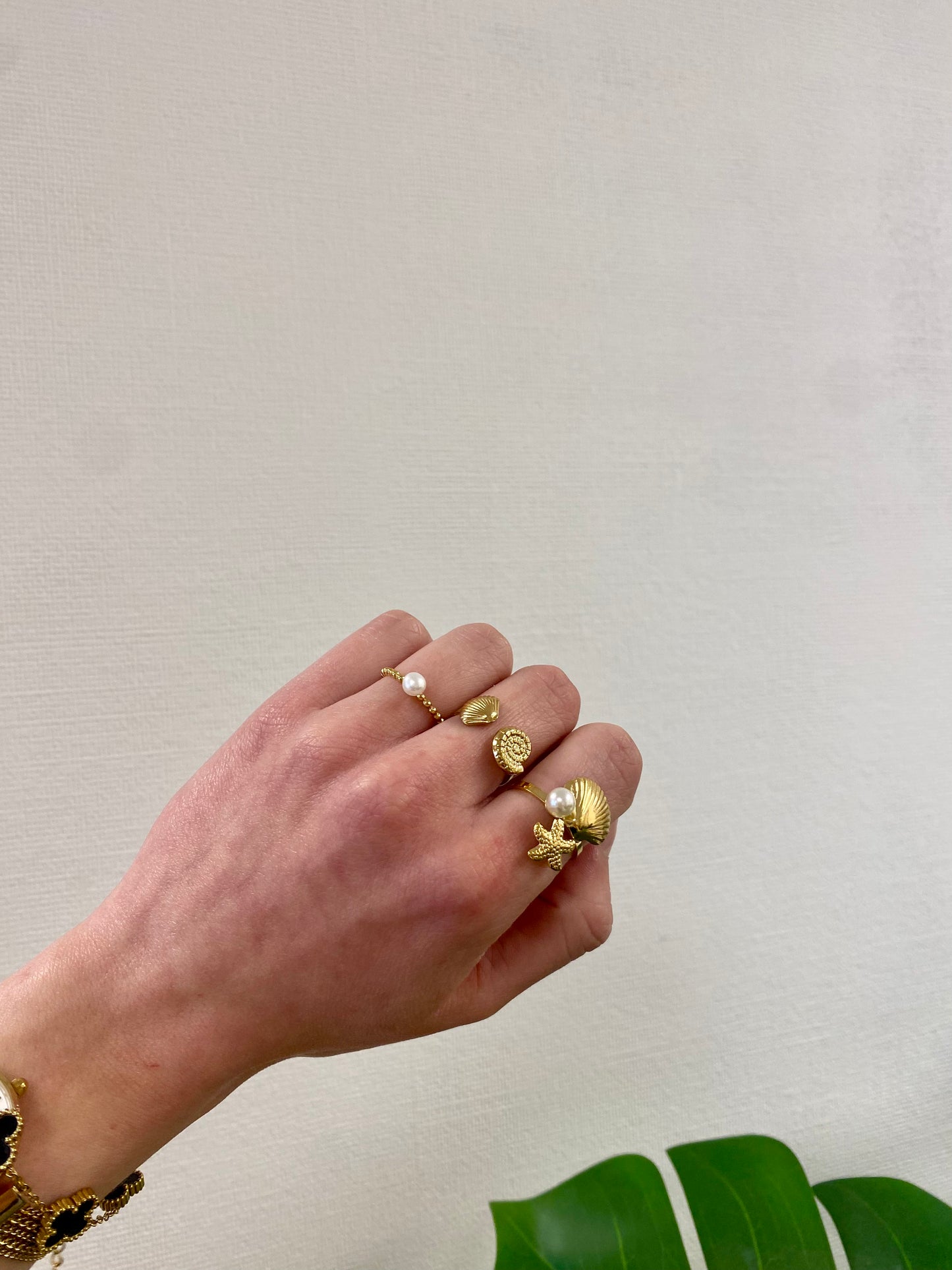 ring bolletjes met parel