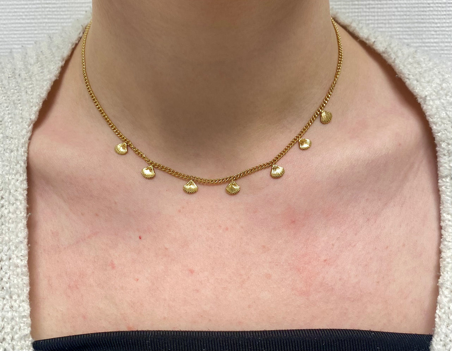 ketting schelpjes